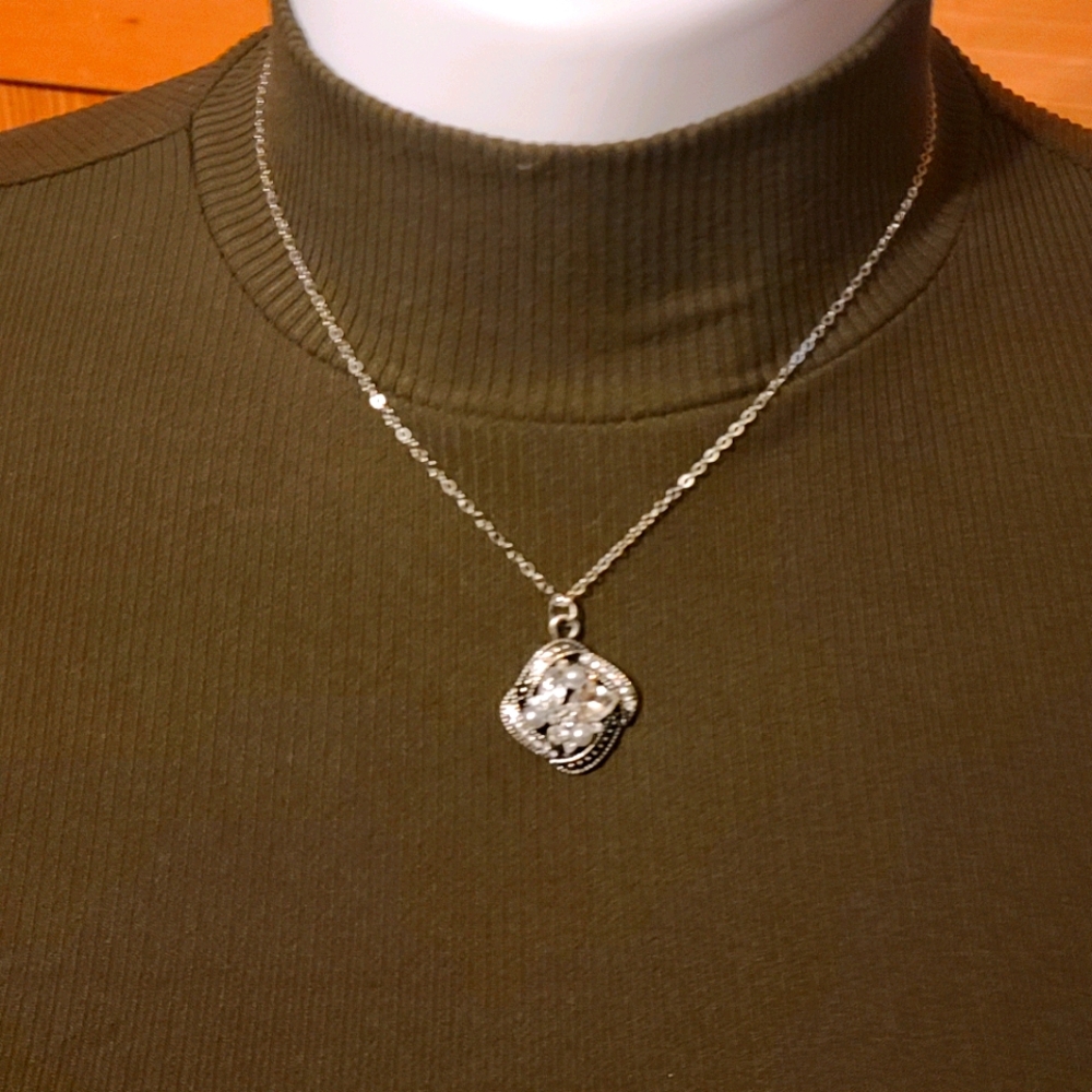 Paparazzi necklace and earing set. NWT